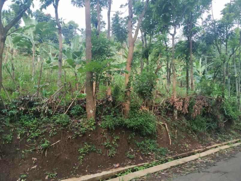 tanah jl panyandan manadalamekar