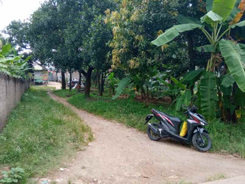 tanah jl raya kp sawah jati