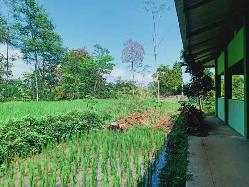 tanah jl raya solo tawangmangu