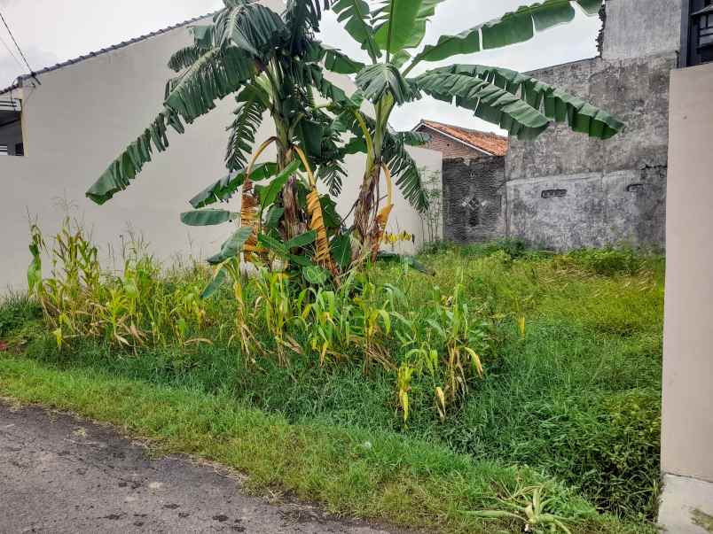 tanah kavling di tengah pemukiman