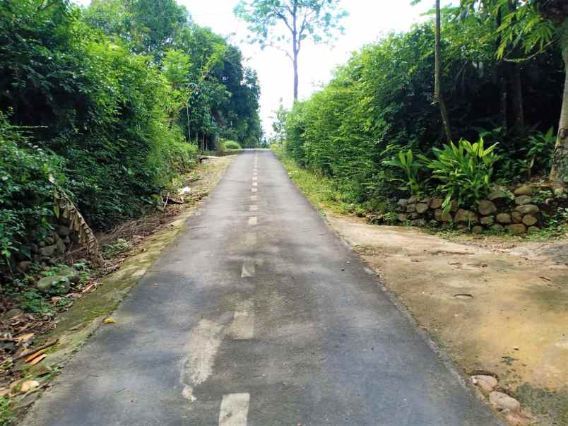 tanah kebun jati dekat sungai kerjo karanganyar