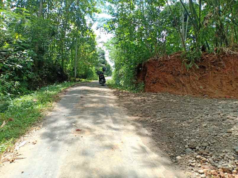 tanah kebun jati dekat sungai kerjo karanganyar