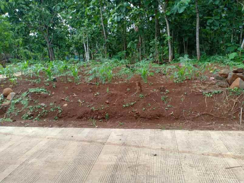 tanah kerjo karanganyar telp wa