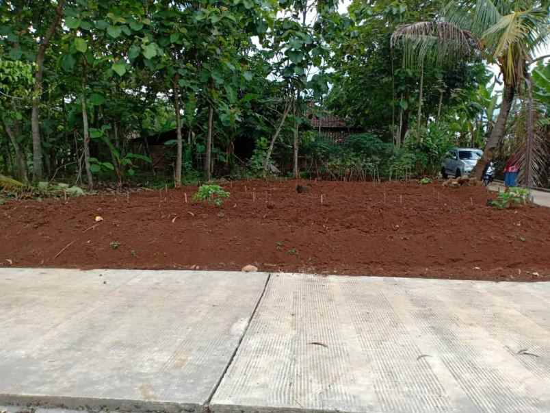 tanah kerjo karanganyar telp wa