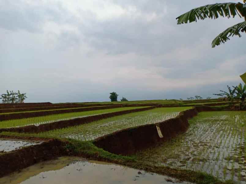 tanah kerjo karanganyar telp wa