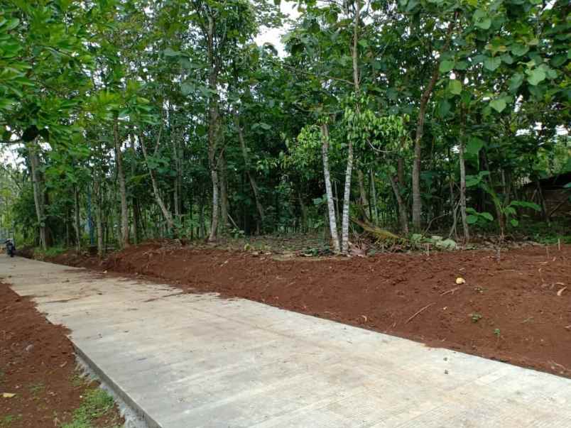 tanah kerjo karanganyar telp wa