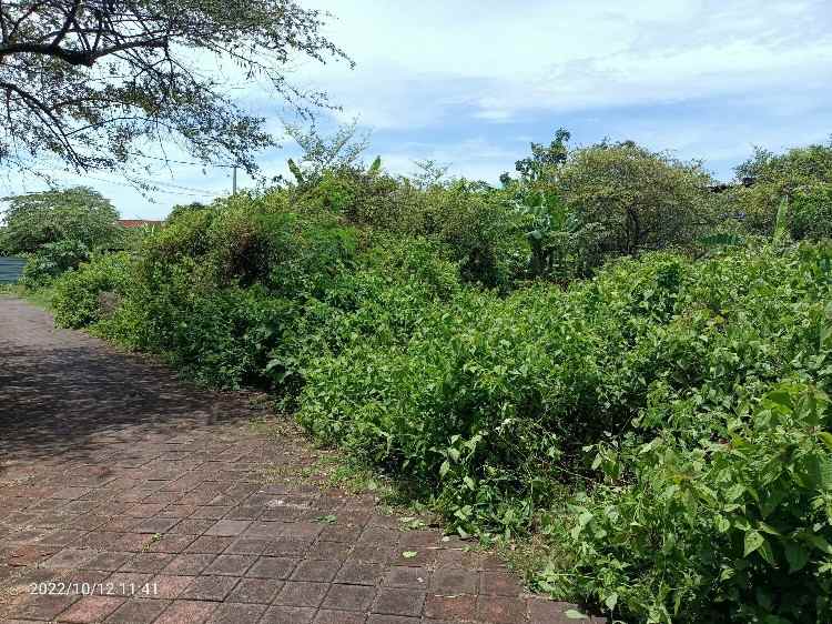 tanah lingkungan villa di mumbul dekat nusa dua bali