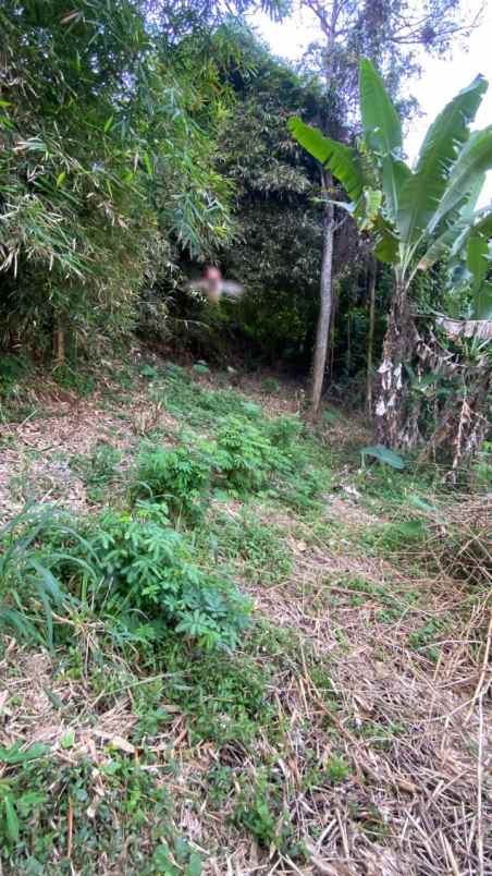 tanah murah 300 ribuan di cibaligo ngamprah