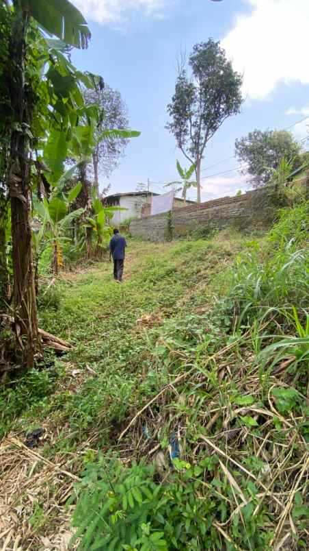 tanah murah 300 ribuan di cibaligo ngamprah