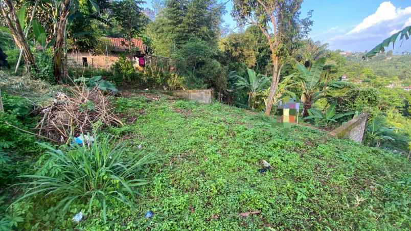 tanah murah 300 ribuan di cibaligo ngamprah