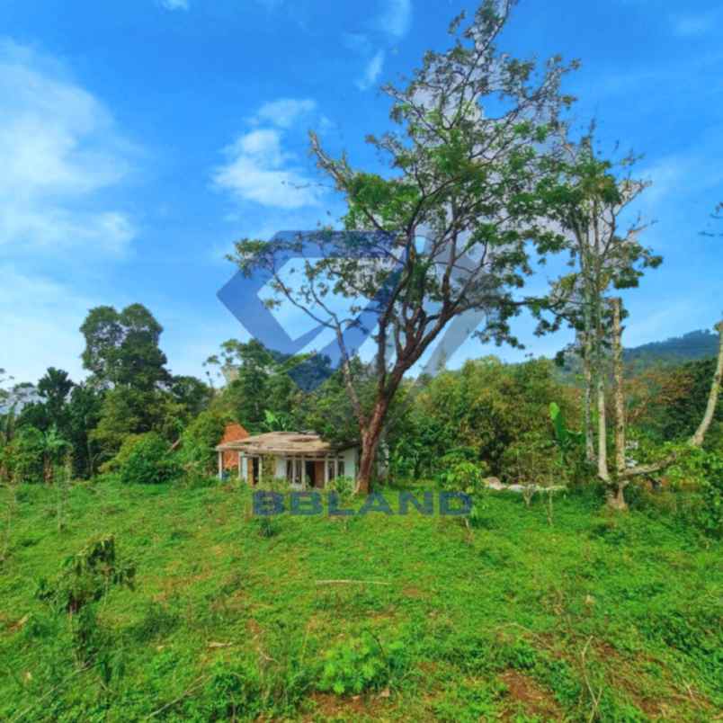 tanah murah di pangalengan cocok untuk villa