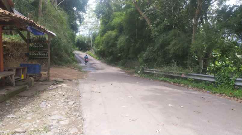 tanah murah lokasi ciherang sukamakmur