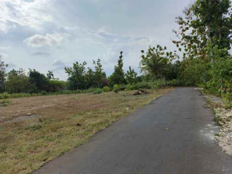 tanah pekarangan shm dekat pusat kota