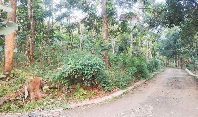tanah pemukiman ngijo gunungpati semarang