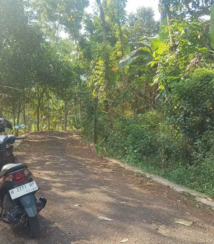 tanah pemukiman ngijo gunungpati semarang