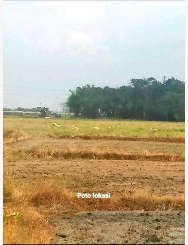 tanah perumahan strategis dekat kota cikampek