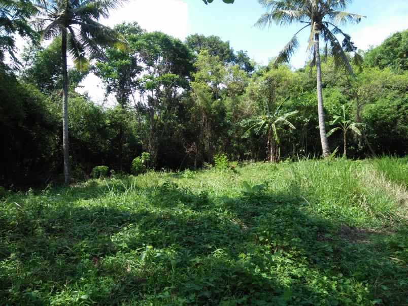 tanah pinggir jalan utama