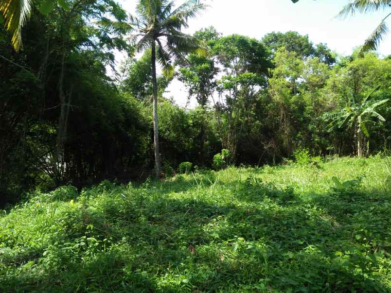 tanah pinggir jalan utama