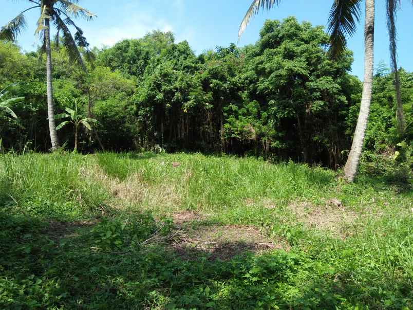 tanah pinggir jalan utama