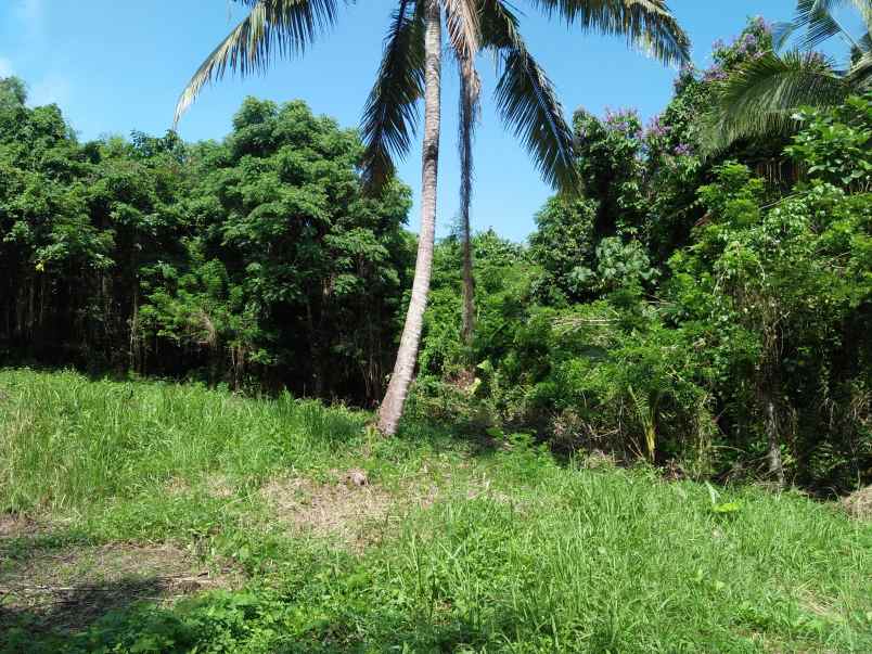 tanah pinggir jalan utama