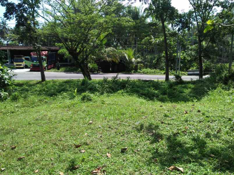 tanah pinggir jalan utama