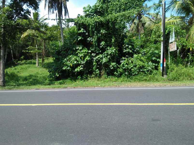 tanah pinggir jalan utama