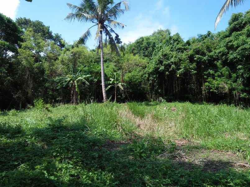 tanah pinggir jalan utama