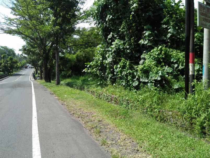 tanah pinggir jalan utama