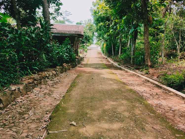 tanah selatan kantor pertanian