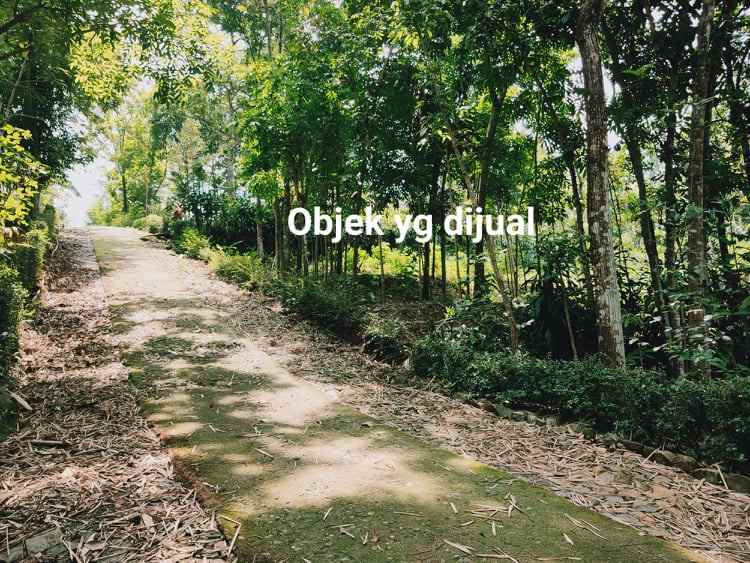 tanah selatan kantor pertanian