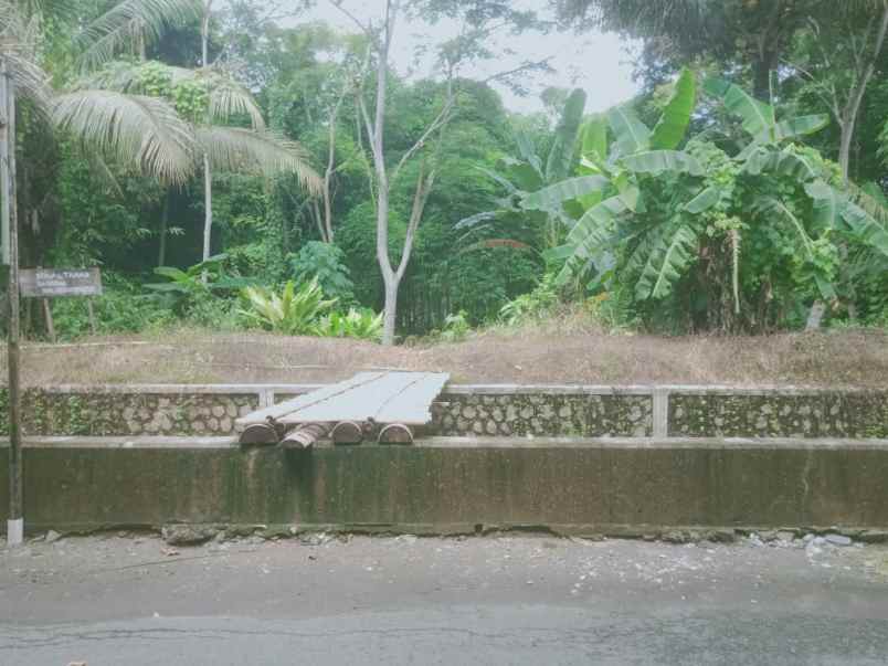 tanah shm kalidengen temon dekat bandara yia