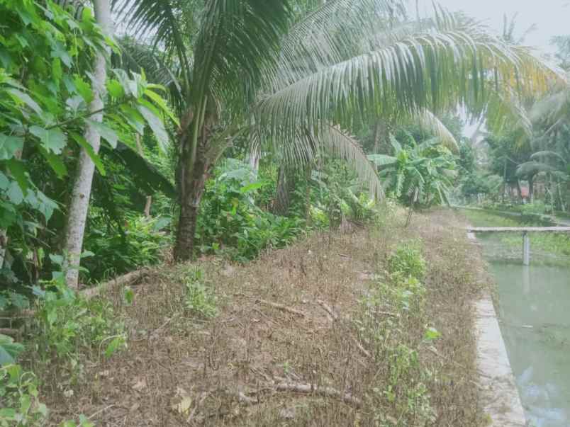 tanah shm kalidengen temon dekat bandara yia