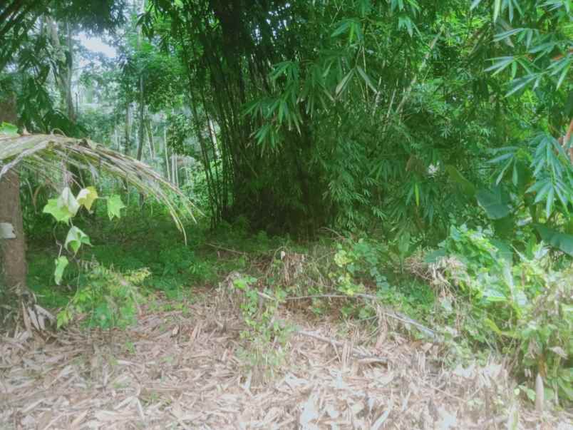 tanah shm kalidengen temon dekat bandara yia