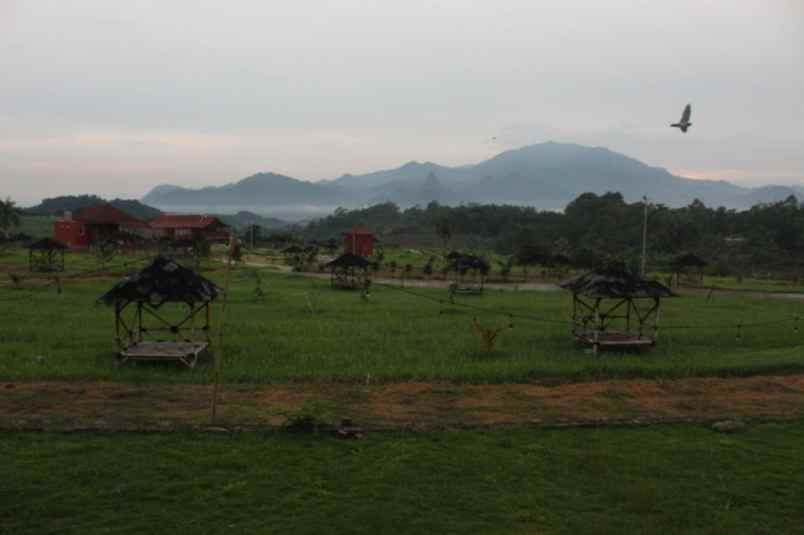 tanah shm murah pinggir jalan raya provinsi