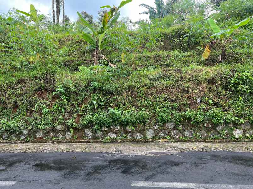 tanah strategis 1 menit dari kebun teh kemuning