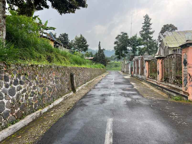 tanah strategis 1 menit dari kebun teh kemuning