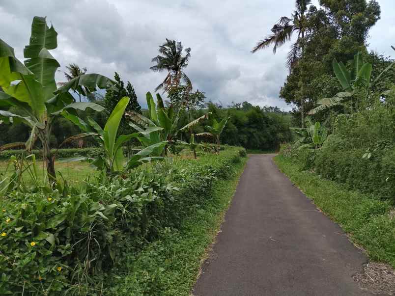 tanah strategis dekat wisata ciater subang