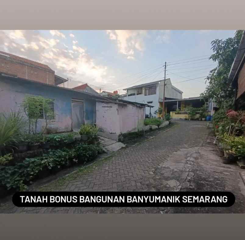 tanah ulin banyumanik semarang