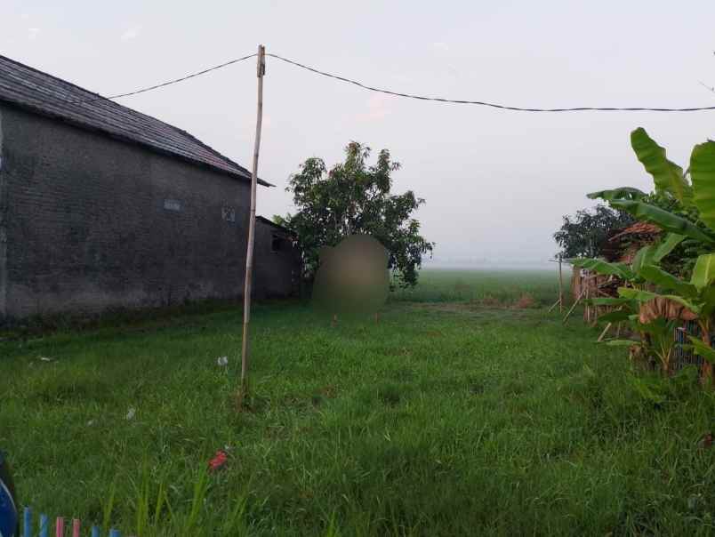 tanah view sawah murah di kasemen kota serang