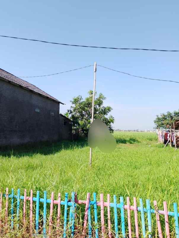 tanah view sawah murah di kasemen kota serang