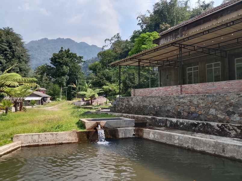 vila kolam ikan dekat sungai view pegunungan