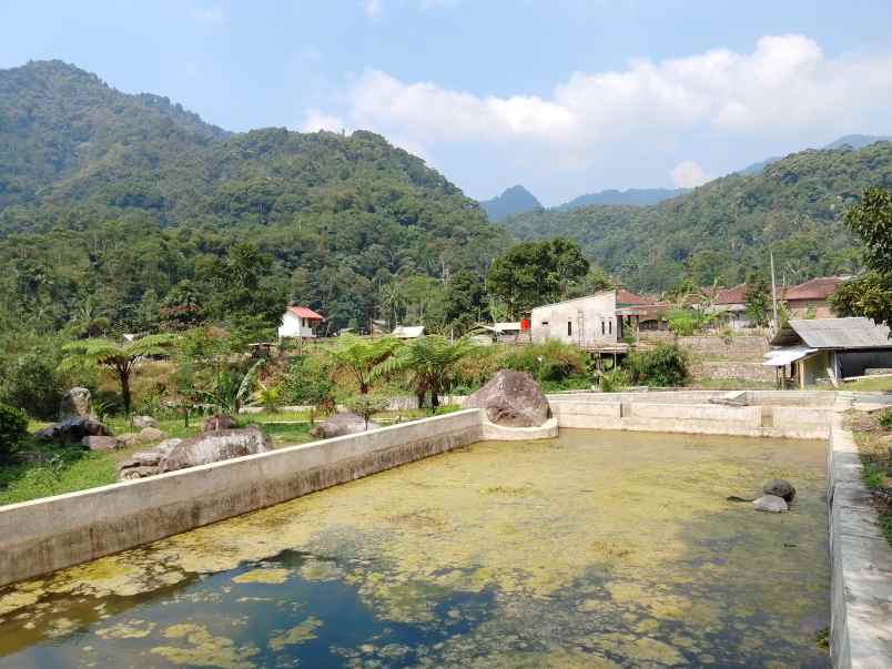 vila kolam ikan dekat sungai view pegunungan