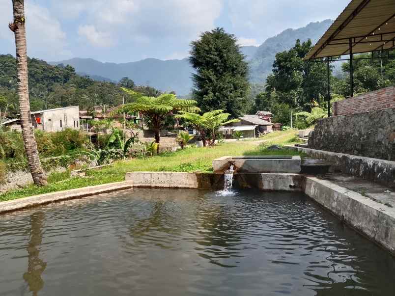 vila kolam ikan dekat sungai view pegunungan