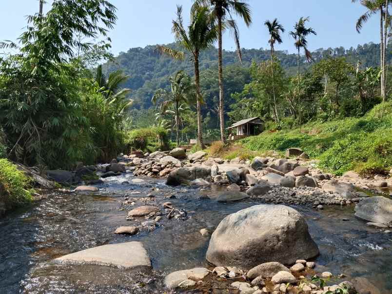 vila kolam ikan dekat sungai view pegunungan