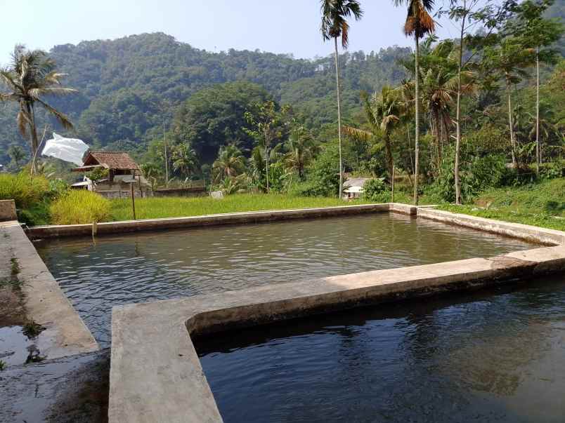 vila kolam ikan dekat sungai view pegunungan