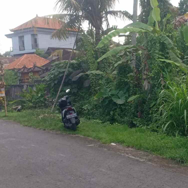 dijual 2 are jl kaba kaba kediri tabanan