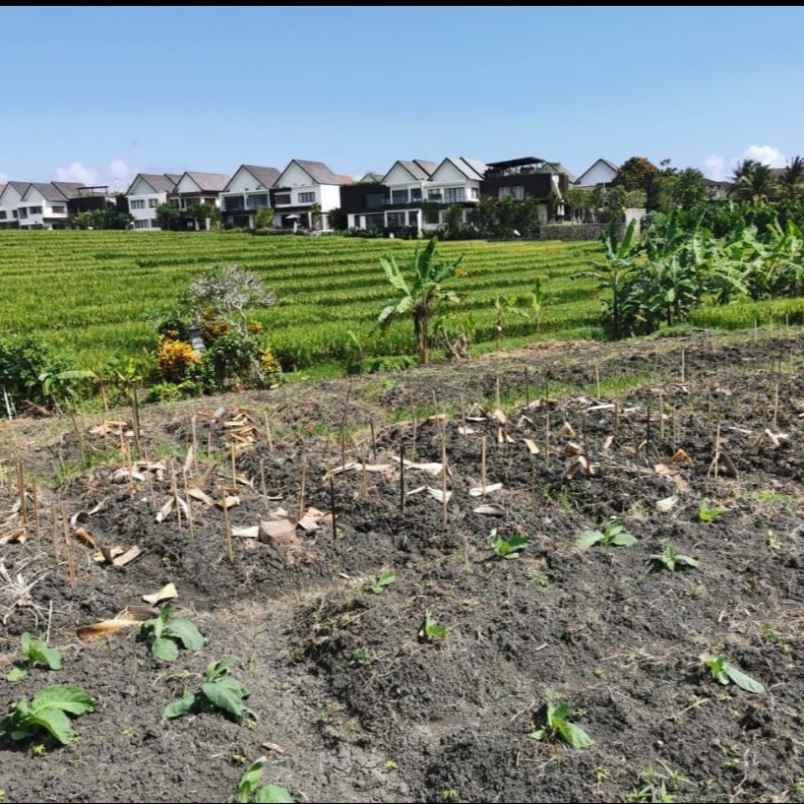 dijual 2 are jl kaba kaba kediri tabanan