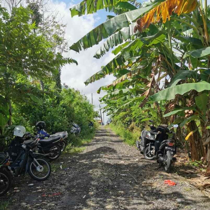 dijual 2 are jl kaba kaba kediri tabanan