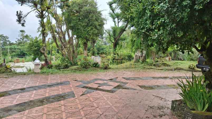 dijual cepat villa cantik di tugu udang kaliurang