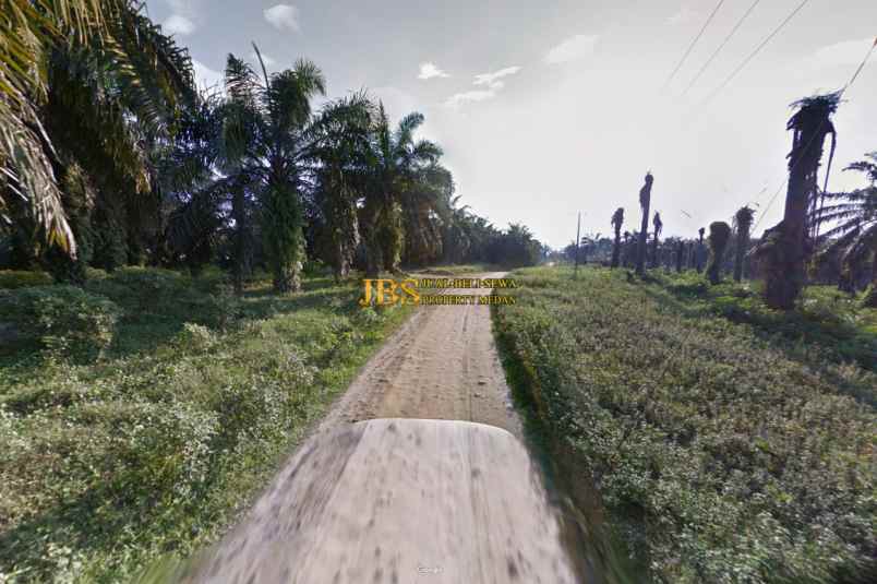 dijual kebun sawit daerah gohor lama langkat